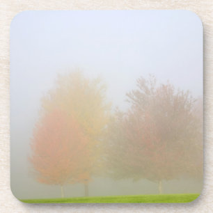 Fall trees shrouded in mist coaster
