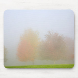 Fall trees shrouded in mist mouse pad
