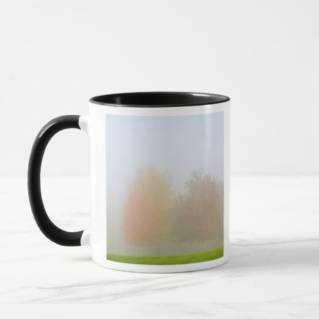Fall trees shrouded in mist mug (Left)