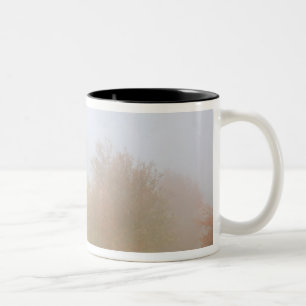 Fall trees shrouded in mist Two-Tone coffee mug
