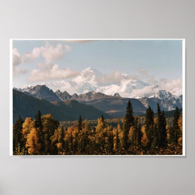 Fall View of Denali, Mt. McKinley Poster (Front)