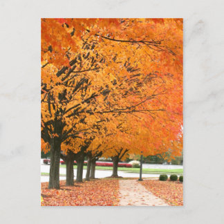 Fall walk postcard