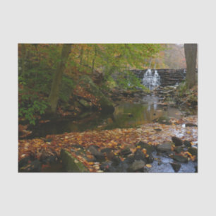 Fall Waterfall and Creek Pennsylvania Nature Tissue Paper