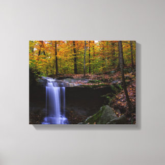 Fall Waterfall in CVNP Canvas Print