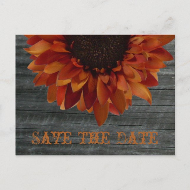 Fall Wedding Save The Date Sunflower Postcard (Front)