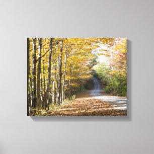 Fall wilderness scene canvas print