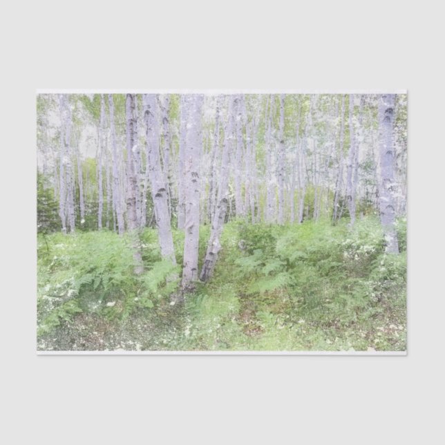 Fall Woodland Fern Distressed Forest Birch Trees Tissue Paper (Front)