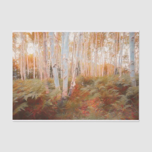 Fall Woodland Fern Forest Birch Trees Art Tissue Paper (Front)
