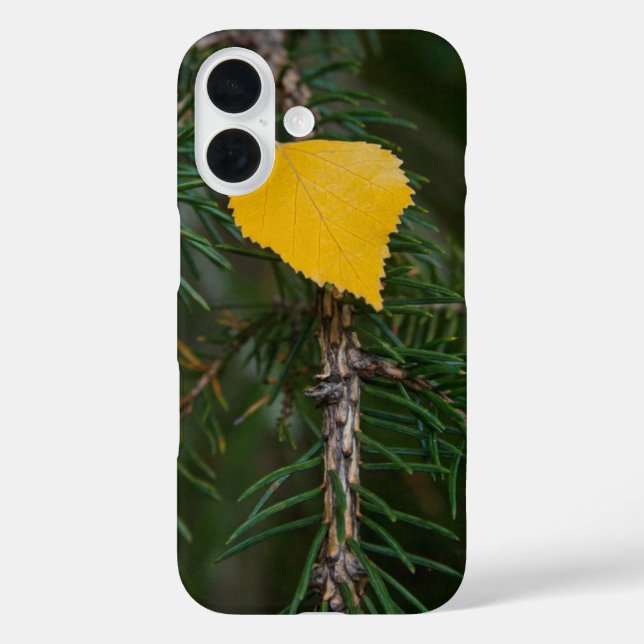 Fall Yellow Quaking Aspen Leave Photograph Case-Mate iPhone Case (Back)