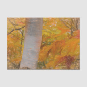 Fall Yellow Sketch Art Forest Leaves Birch Tree Tissue Paper
