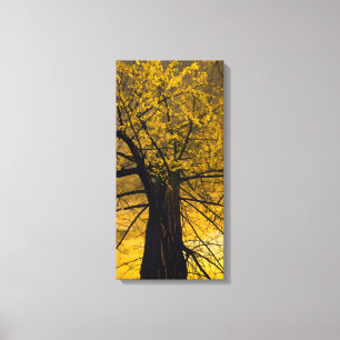 Fall Yellow Tree Painting Canvas Print