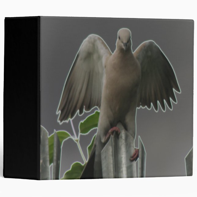 Fallen Angel Dove Binder (Front/Spine)