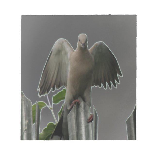 Fallen Angel Dove Notepad (Front)