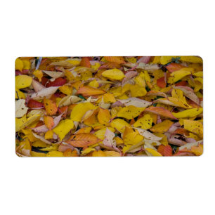 Fallen autumn leaves