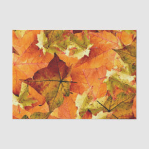 Fallen Autumn Leaves Tissue Paper