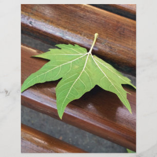 fallen leaf