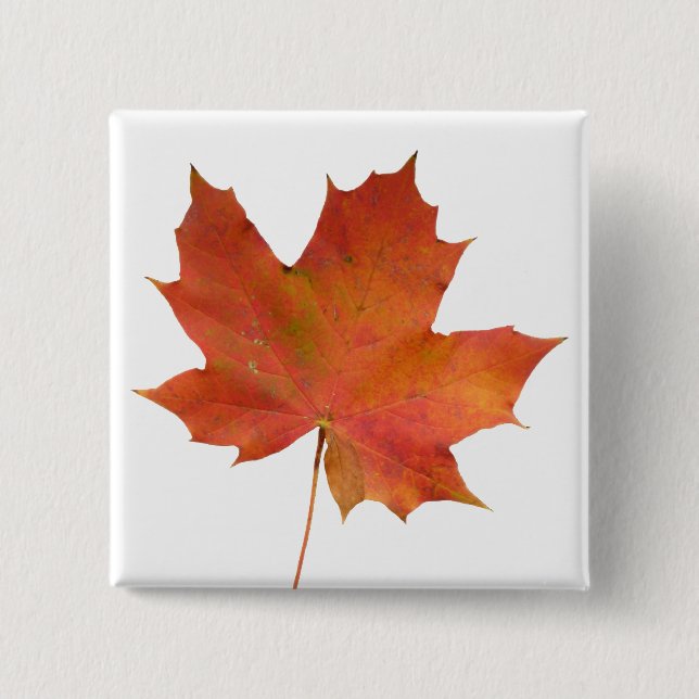 Fallen Leaf 01 2 Inch Square Button (Front)