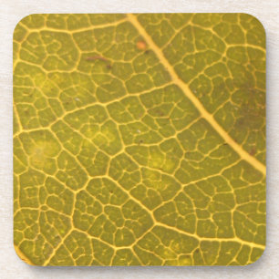 Fallen Leaf 13A Coaster