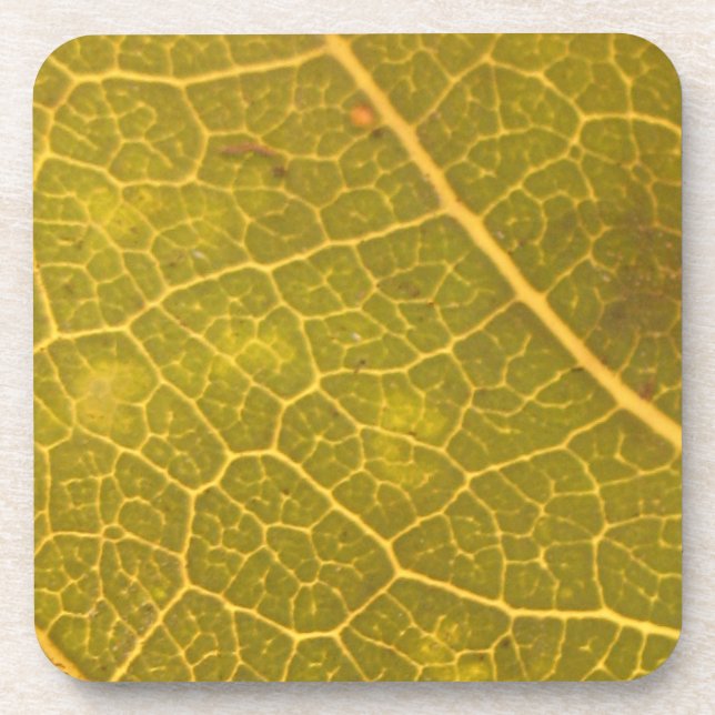 Fallen Leaf 13A Coaster (Front)