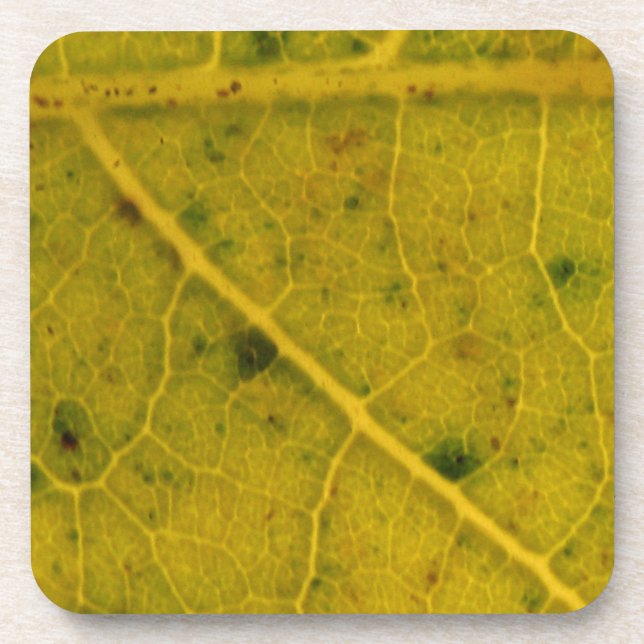 Fallen Leaf 15A Coaster (Front)