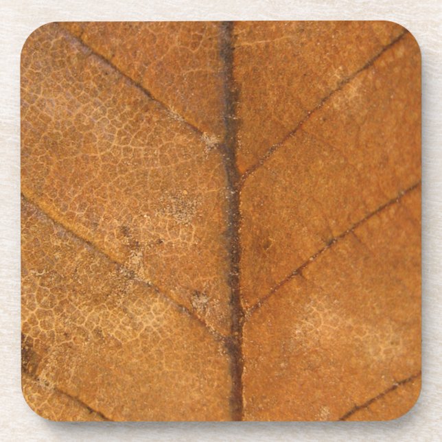 Fallen Leaf 4 Coaster (Front)