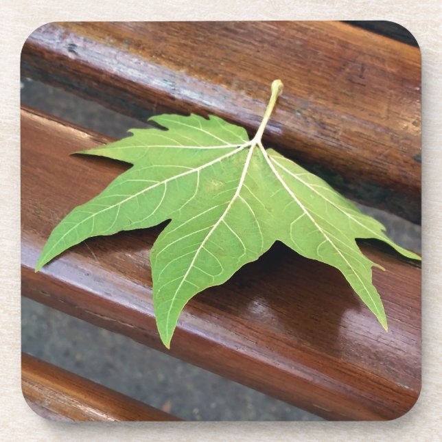 fallen leaf coaster (Front)
