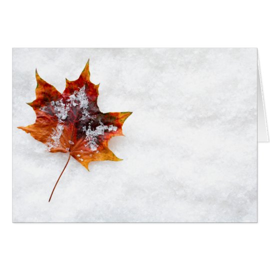 Fallen Leaf in the Snow Greeting Card