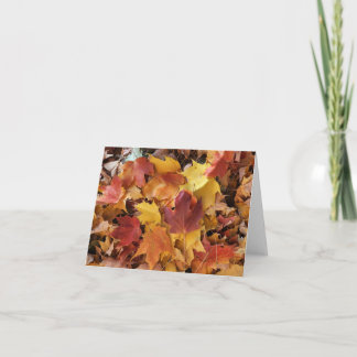 Fallen Leaves Assorted Colours Card