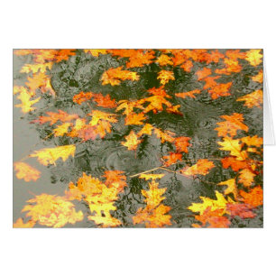 fallen leaves in rain