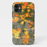 fallen leaves in rain