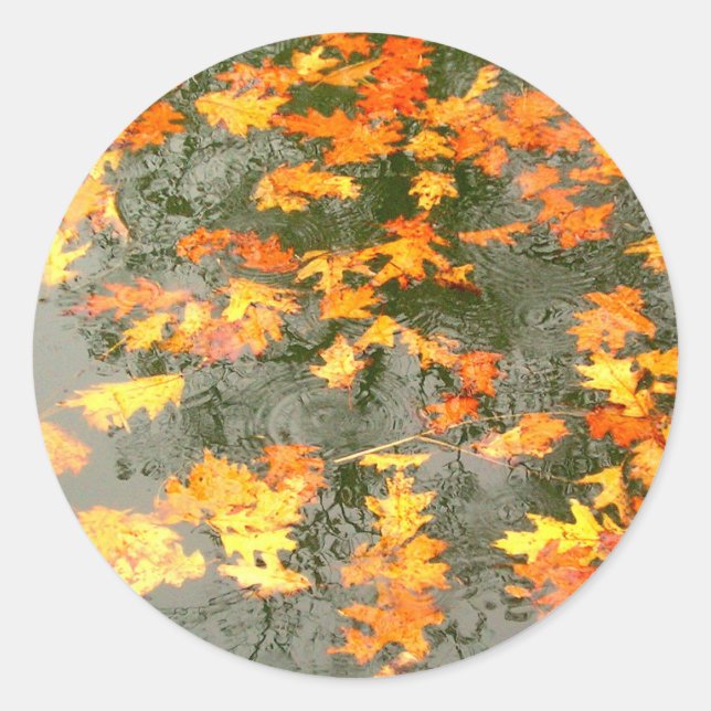 fallen leaves in rain classic round sticker (Front)
