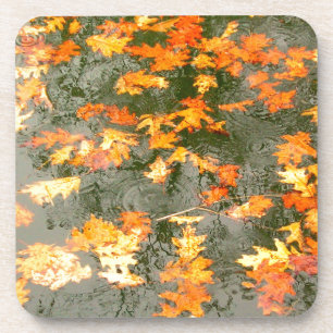 fallen leaves in rain coaster