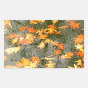 fallen leaves in rain sticker