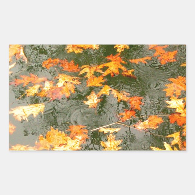 fallen leaves in rain sticker (Front)