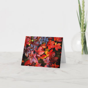 Fallen Leaves Note Card