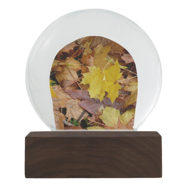 Fallen Maple Leaves Yellow Autumn Nature Snow Globe (Front)