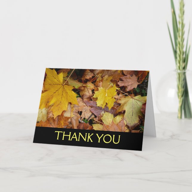 Fallen Maple Leaves Yellow Autumn Nature Thank You Card (Front)
