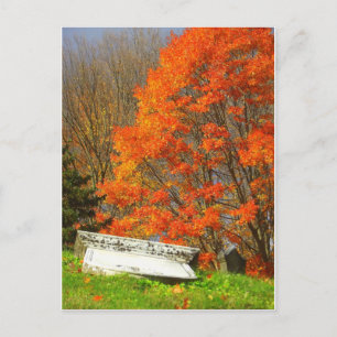Fallen Postcard
