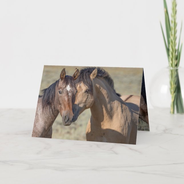 Fallen Star et sa carte de voeux pour Cheval sauva (Devant)