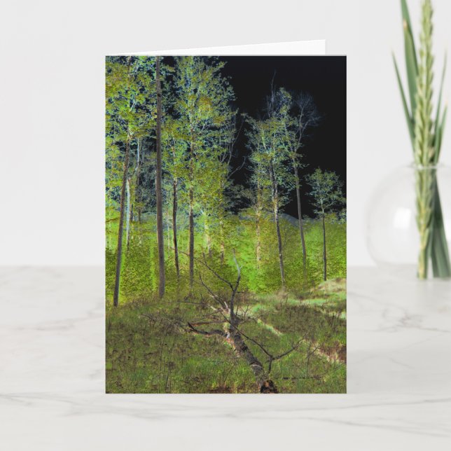 Fallen Tree: Adirondack Forest Scene Altered Photo Card (Front)