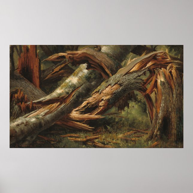 Fallen Tree - Alexandre Calame Fine Art Poster (Front)