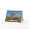 Fallen Tree Birthday Card