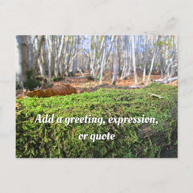 Fallen Tree in Autumn Moss - Personalized Postcard (Front)