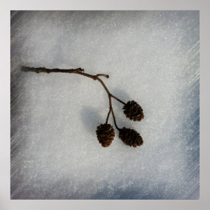 fallen twig poster