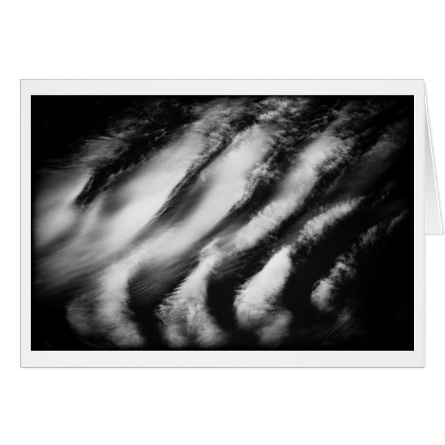 fallen vultures (Front Horizontal)