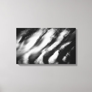 fallen vultures canvas print