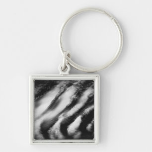 fallen vultures keychain