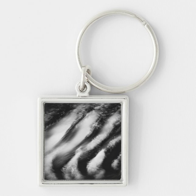 fallen vultures keychain (Front)