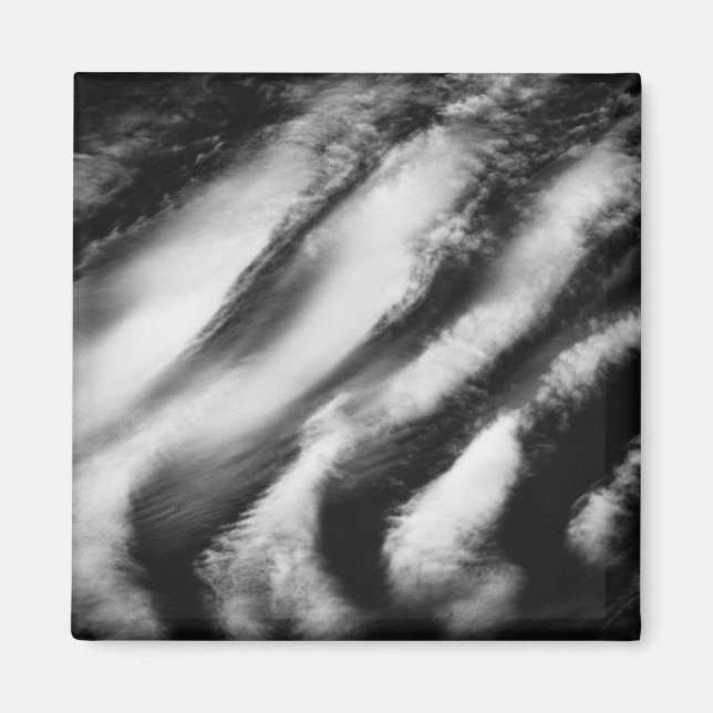 fallen vultures magnet (Front)