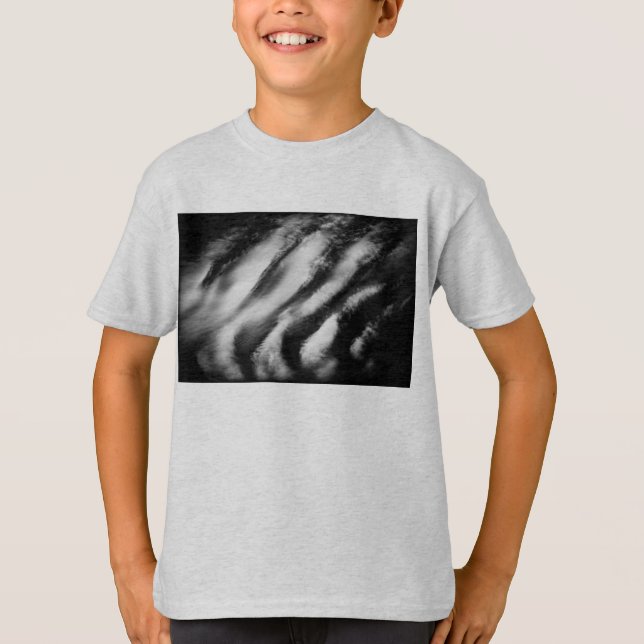 fallen vultures T-Shirt (Front)